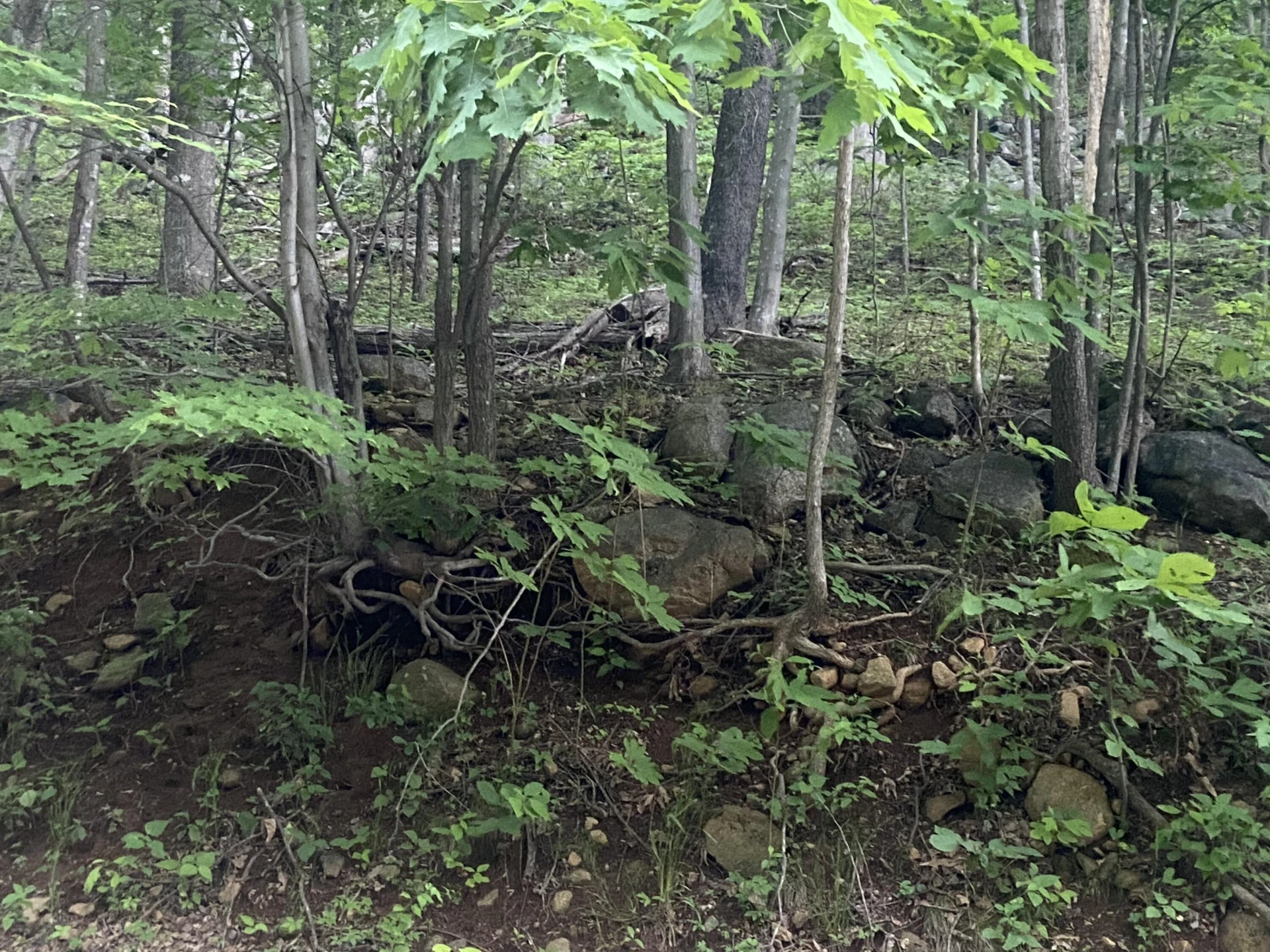 0 Sawmill RD - Photo 2