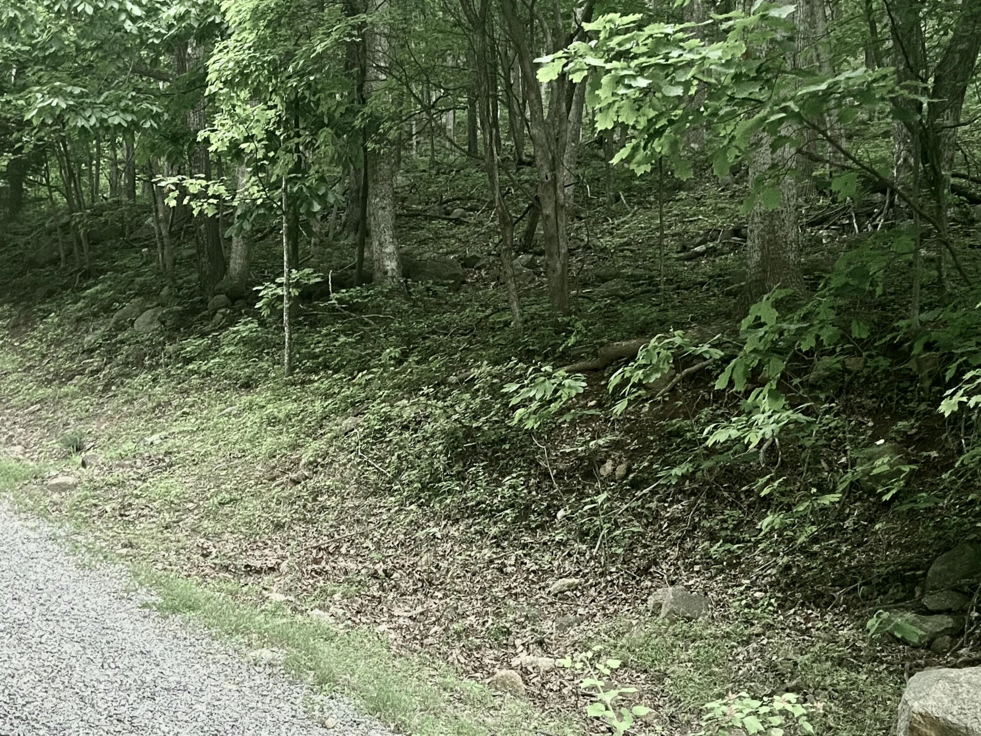 0 Sawmill RD - Photo 3
