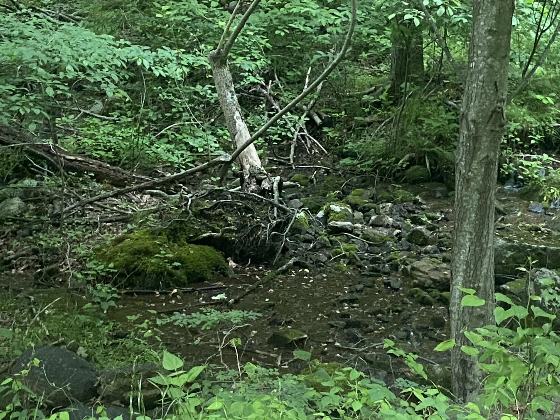 0 Sawmill RD - Photo 5