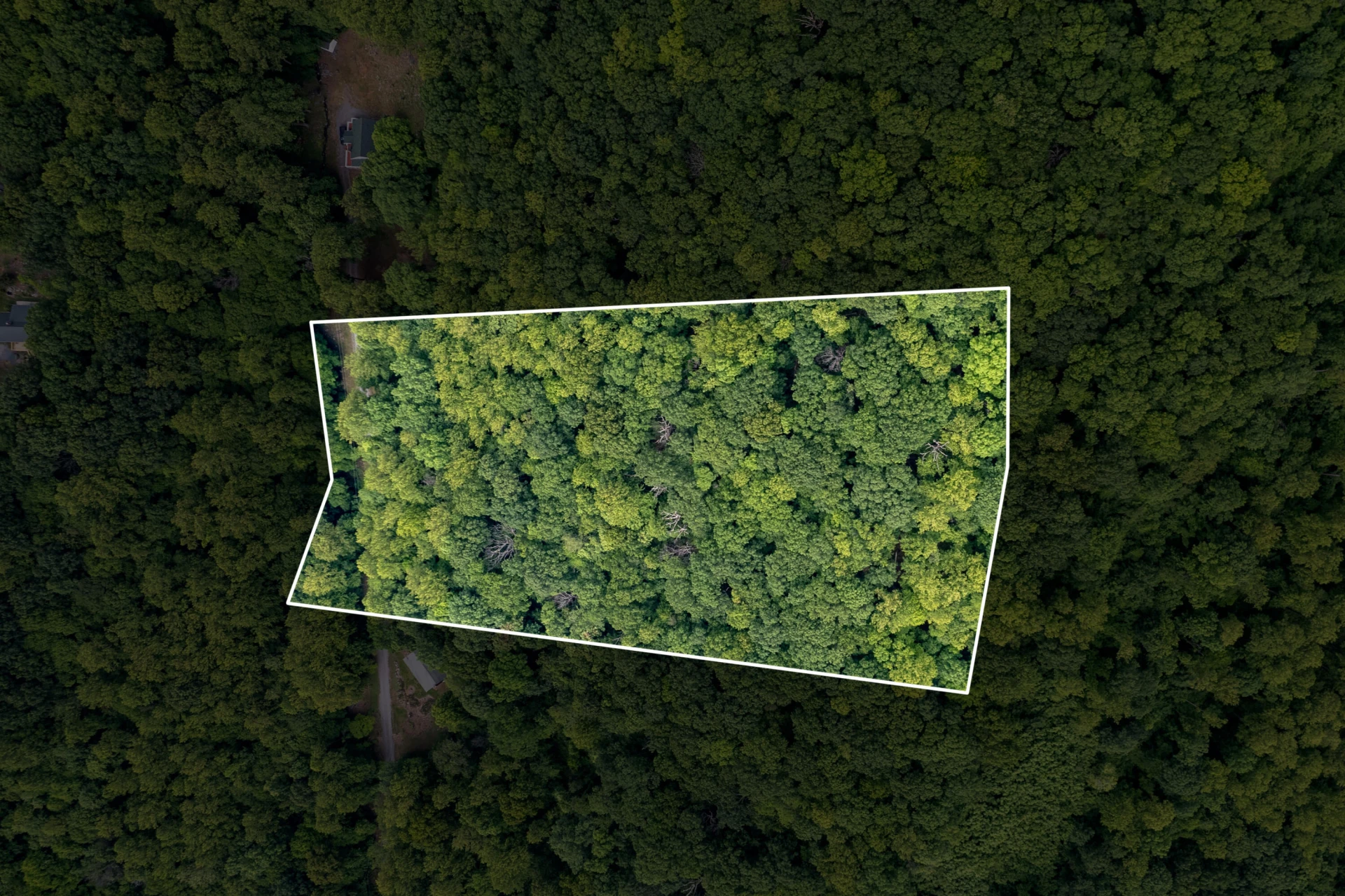 0 Sawmill RD - Photo 7