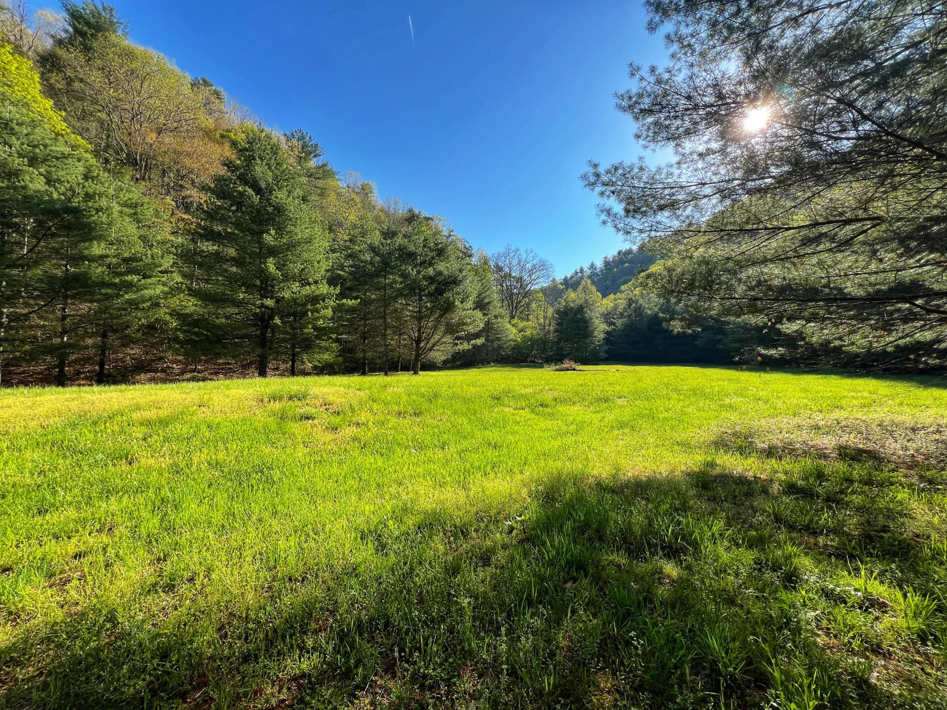 8270 Twin Falls RD NE - Photo 19