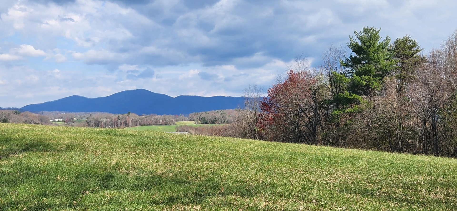 LOT 2 Callaway RD - Photo 4