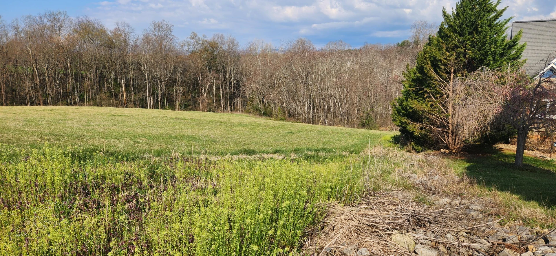 LOT 7 Kyles CT