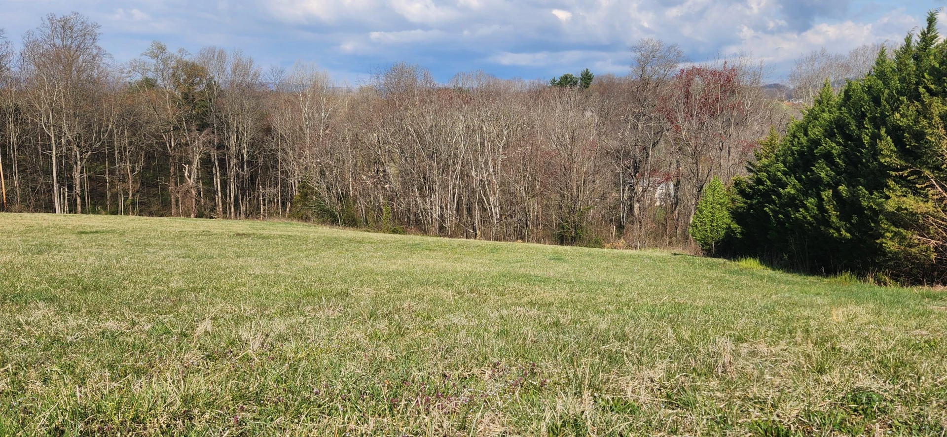 LOT 7 Kyles CT - Photo 2
