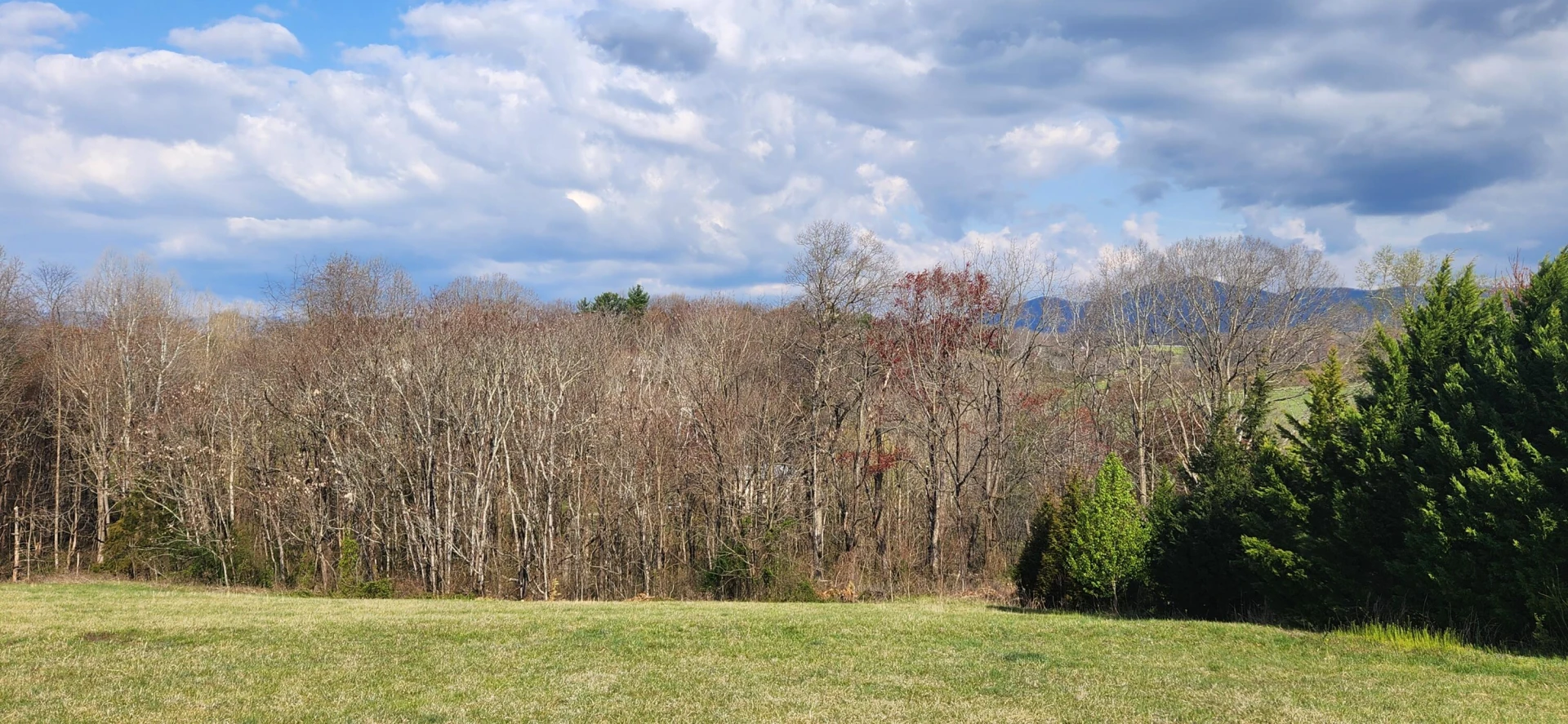 LOT 7 Kyles CT - Photo 3