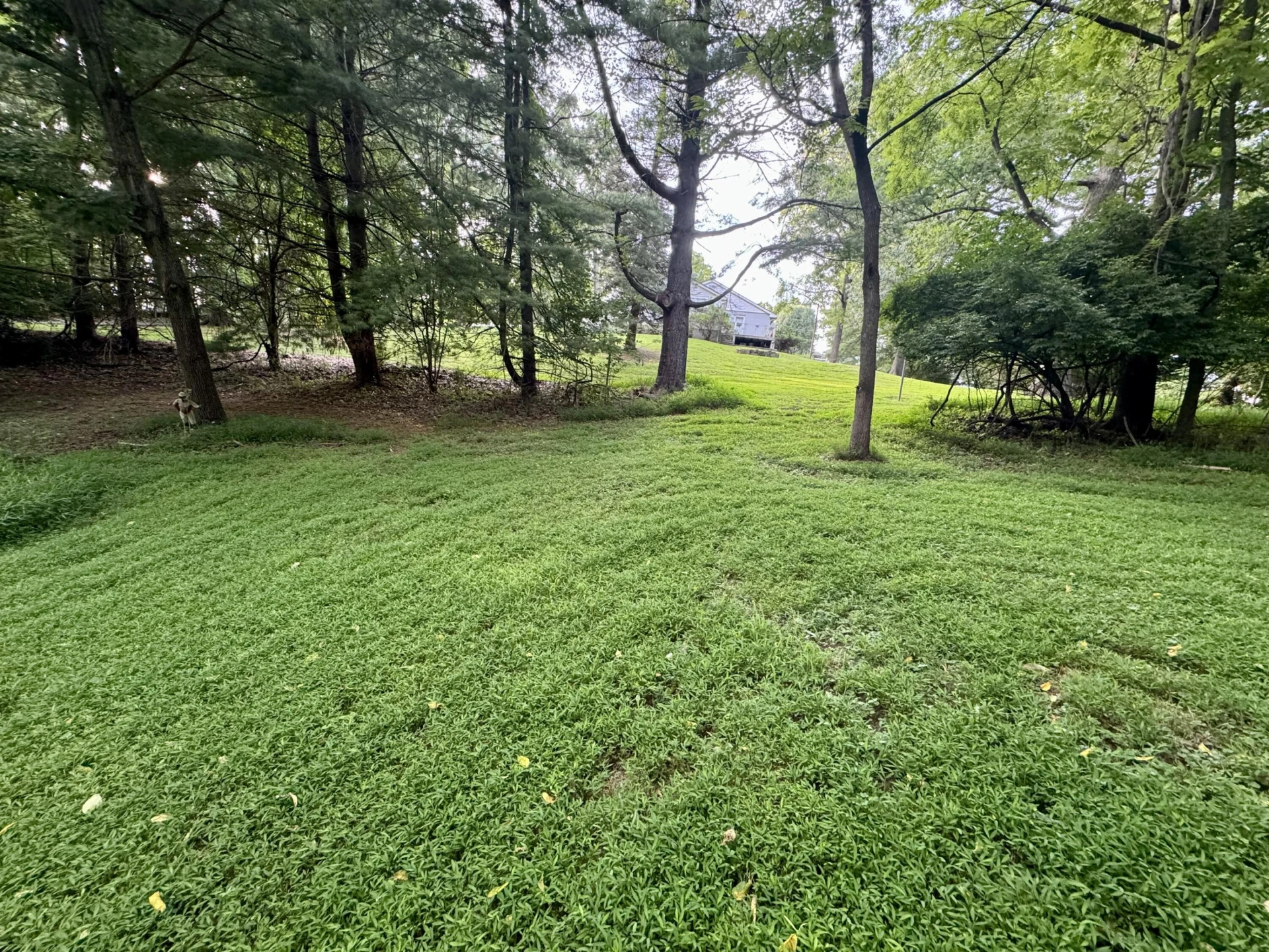 0 Beth Scott DR