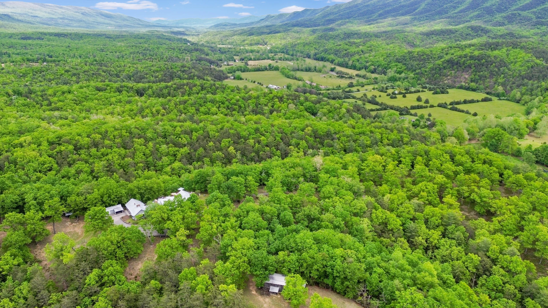 388 Hemlock Ridge LN - Photo 5