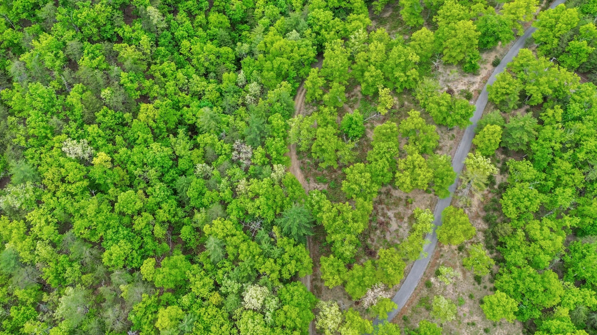 388 Hemlock Ridge LN - Photo 89