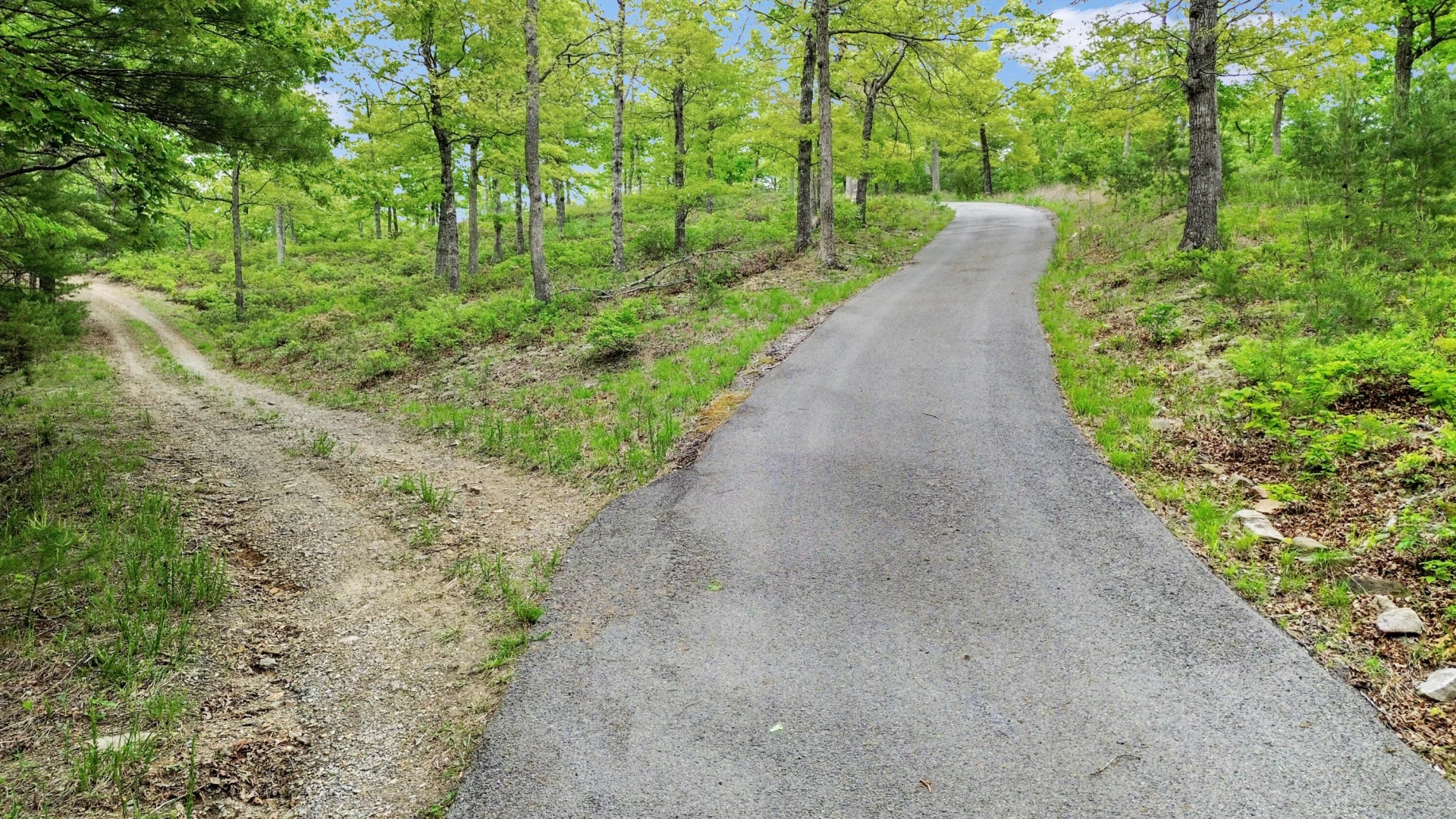 388 Hemlock Ridge LN - Photo 90