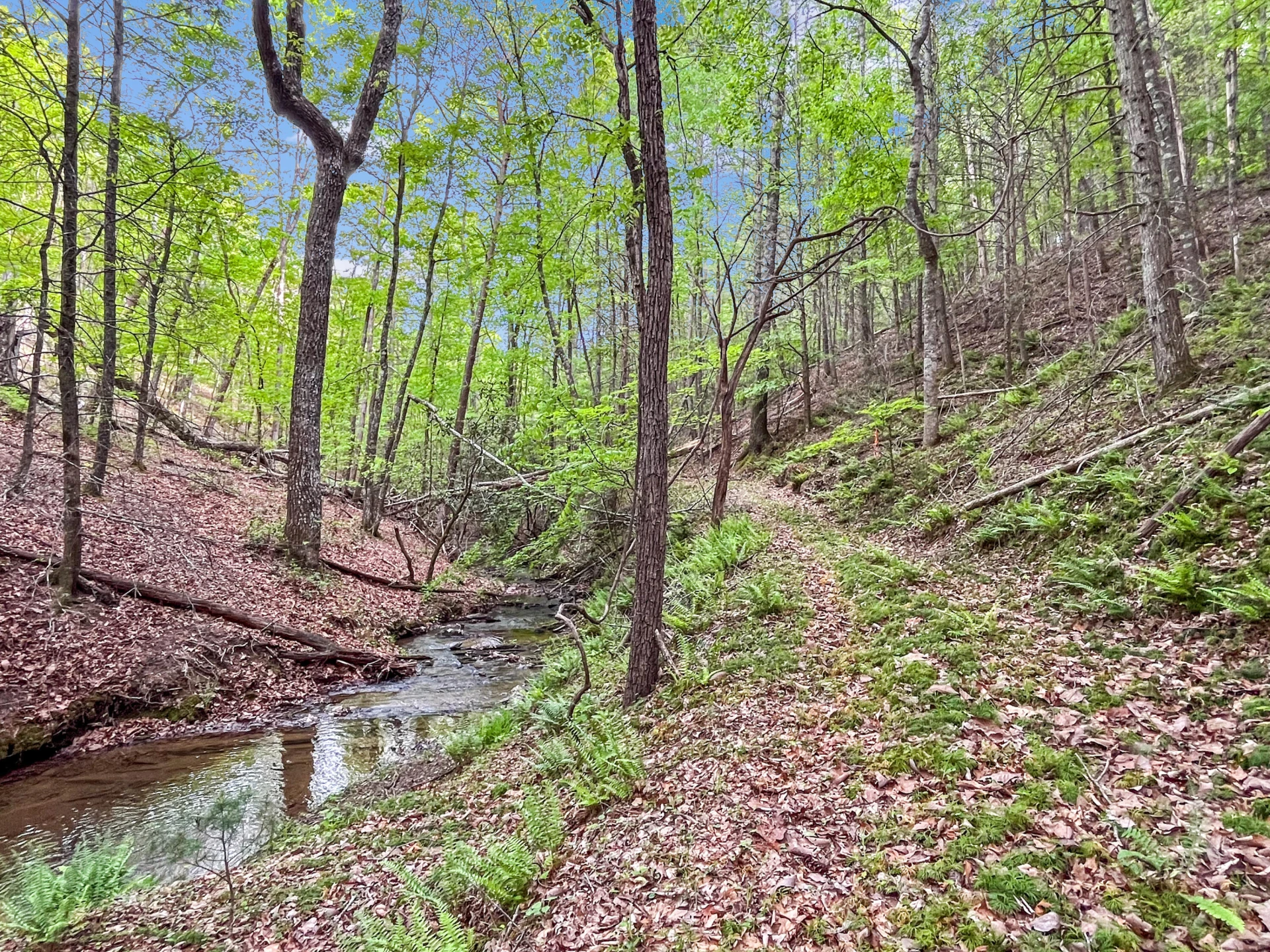 388 Hemlock Ridge LN - Photo 95