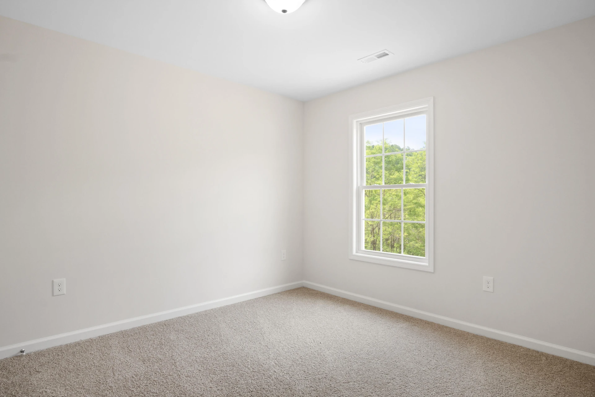 5595 New Pleasant WAY - Photo 40