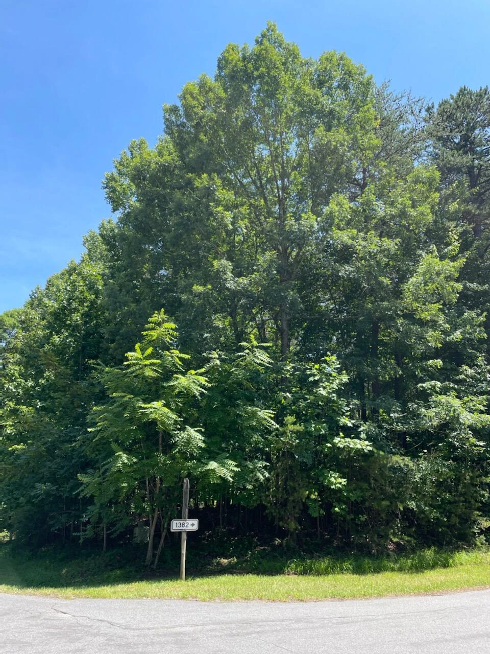 Lot 155 Cross Harbour DR - Photo 7