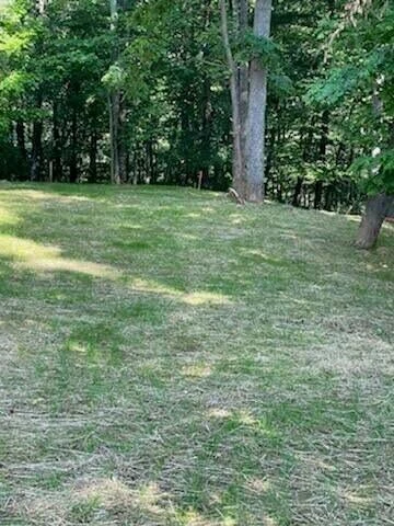 7200 Nandina DR - Photo 5
