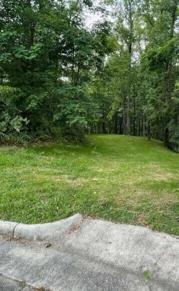 7200 Nandina DR - Photo 8