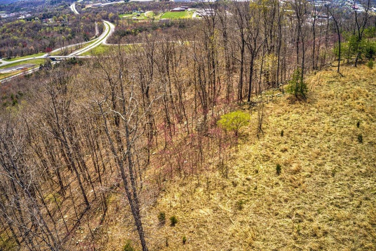 Lot 48 Summit DR - Photo 3