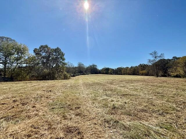 0 Moneta RD - Photo 3