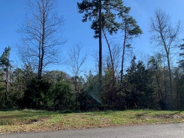 Lot 117 Chase Run - Photo 5