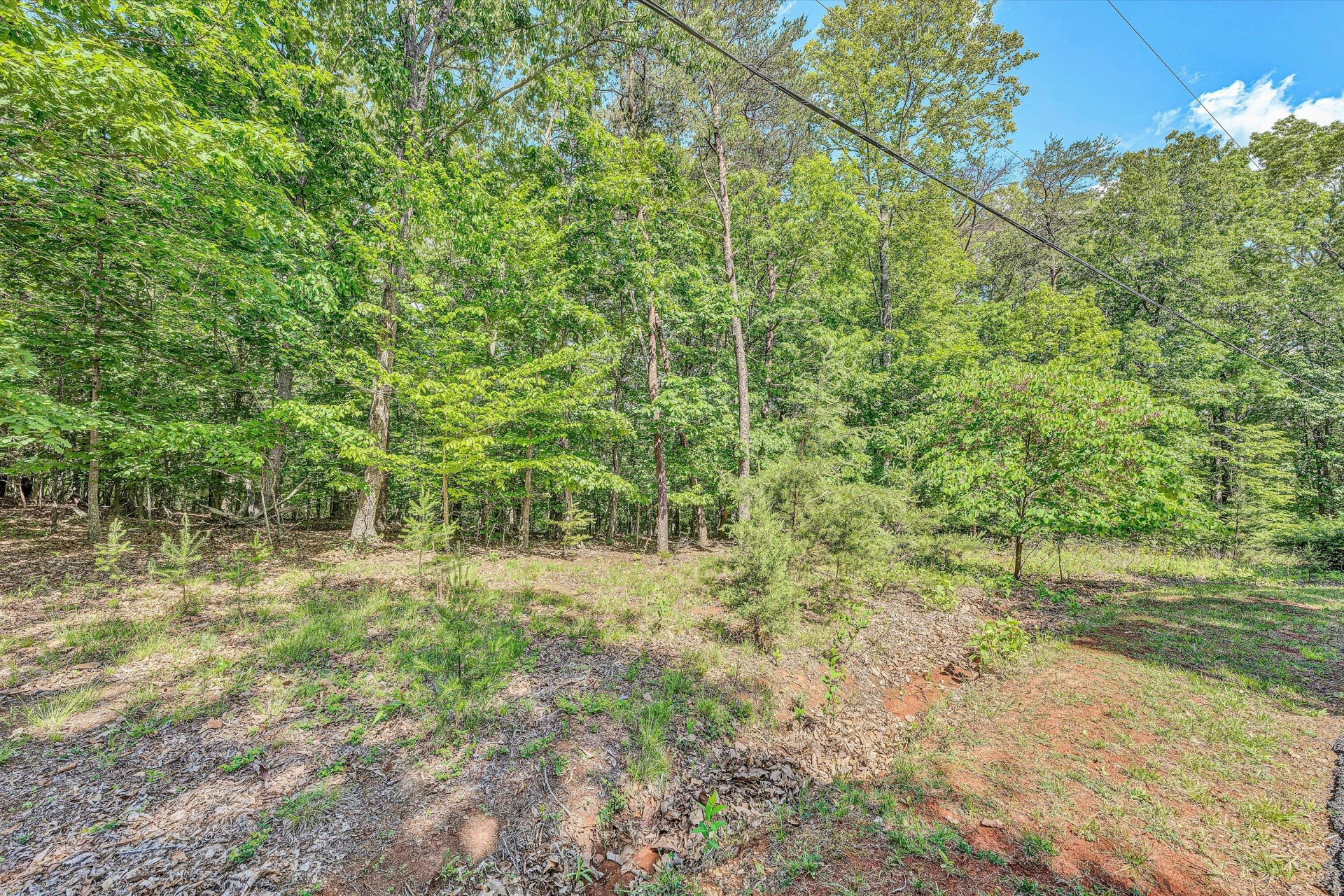 Lot 62-63 Gap Bridge RD - Photo 2