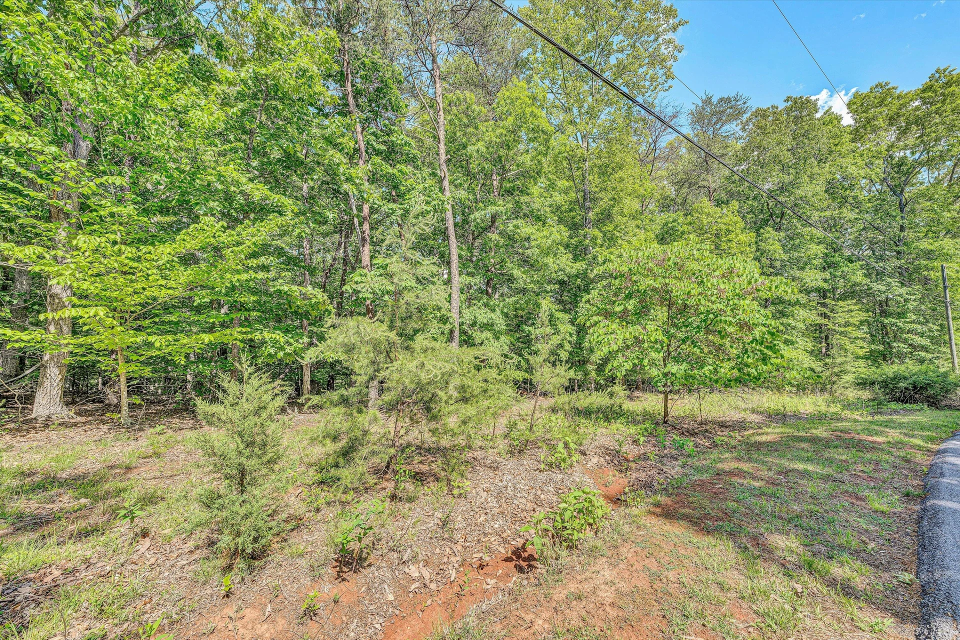 Lot 62-63 Gap Bridge RD - Photo 3
