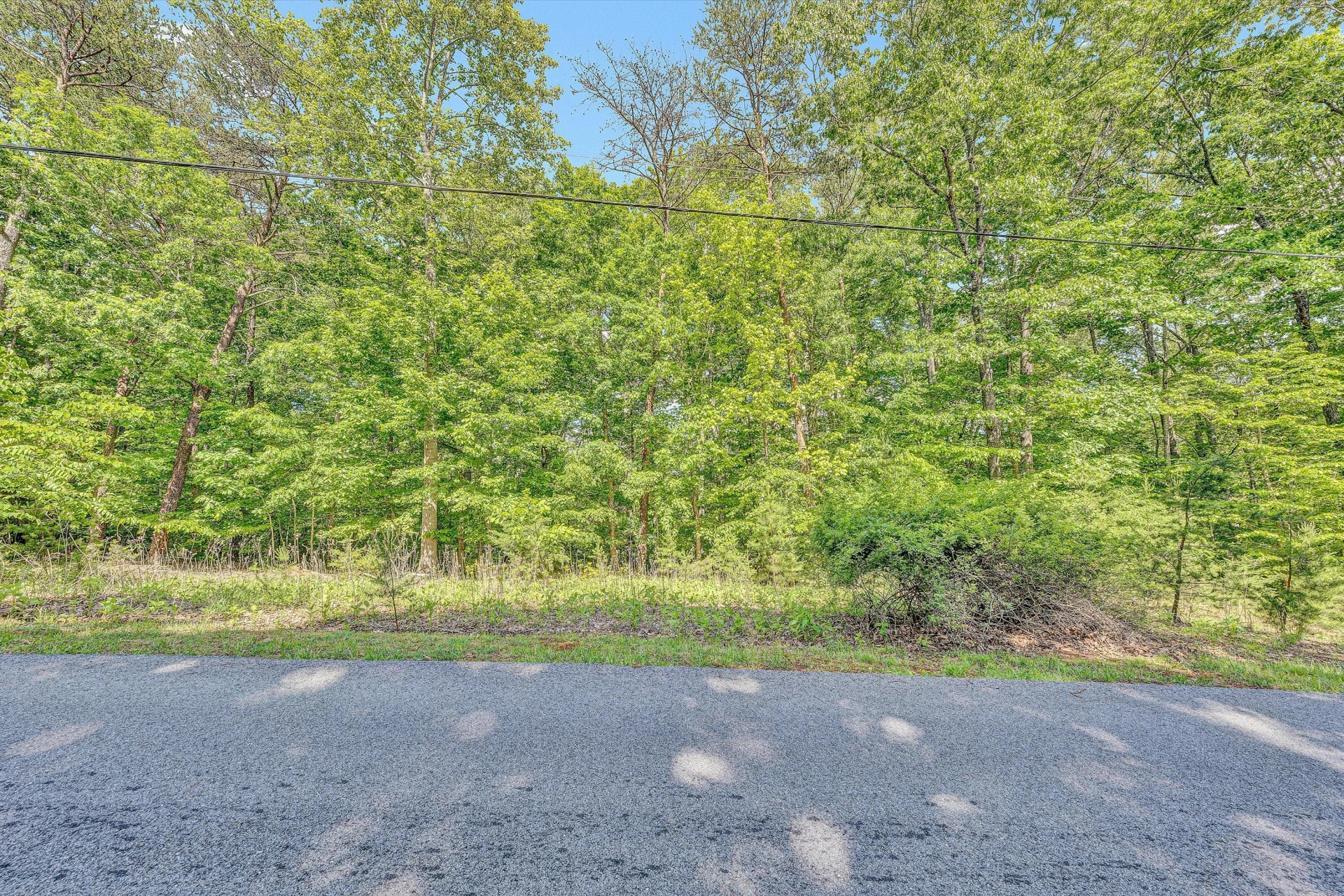 Lot 62-63 Gap Bridge RD - Photo 4