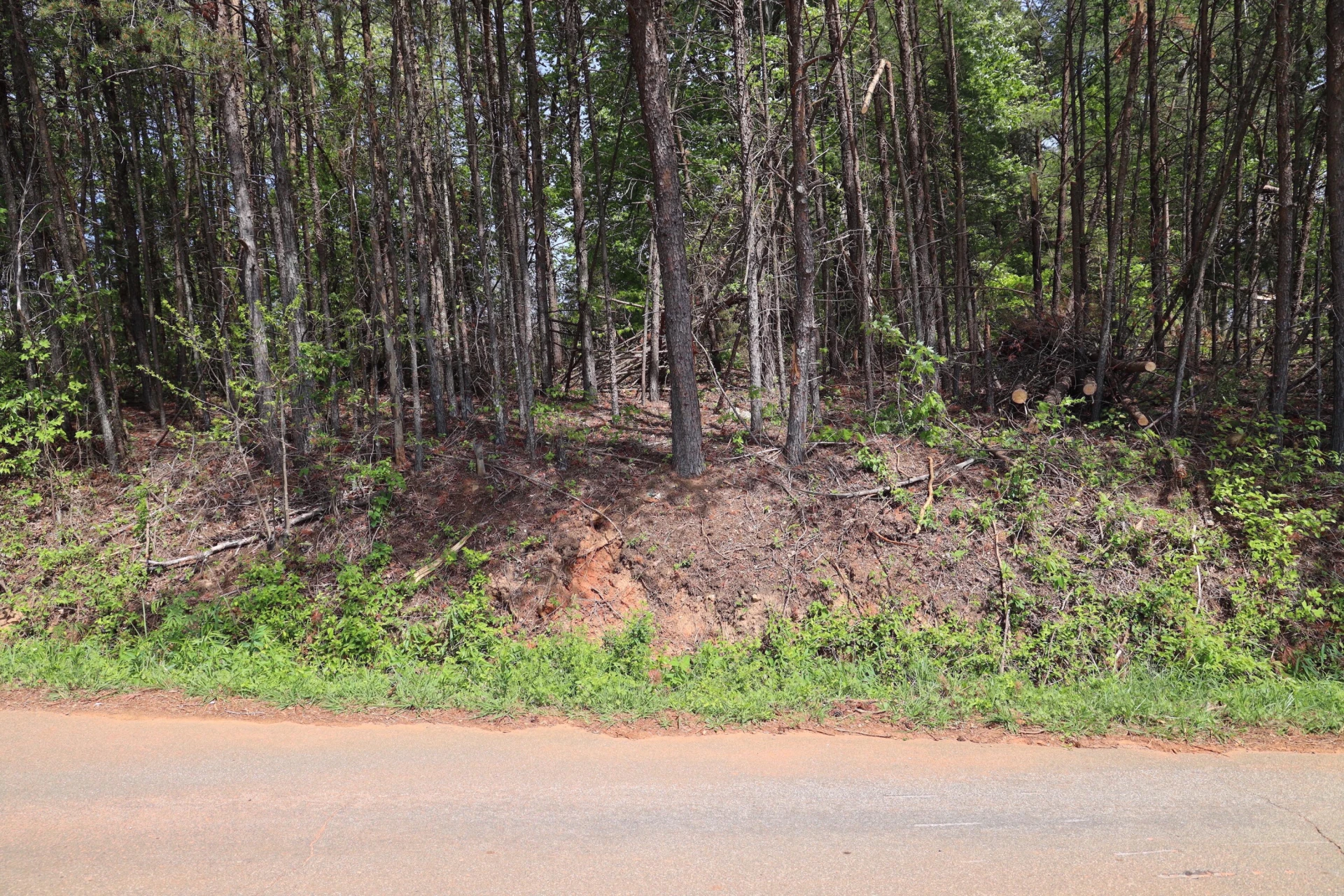0 Sallys Ridge RD