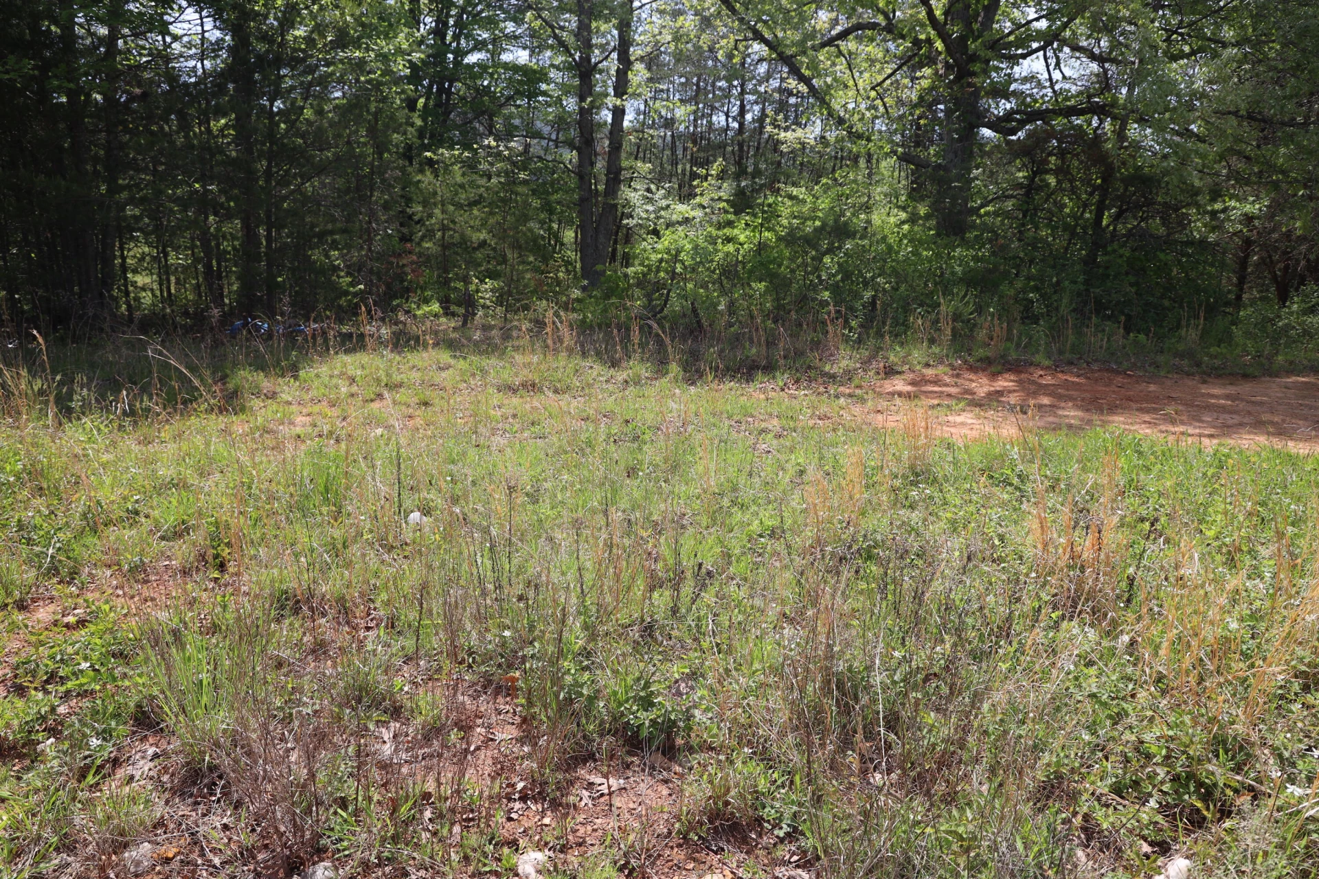 0 Sallys Ridge RD - Photo 4