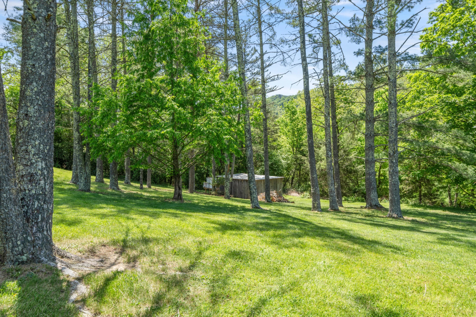 93 Woody WAY - Photo 64