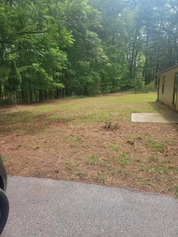 204 Black Bear LN - Photo 27