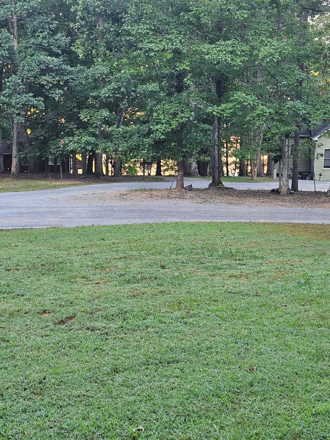 1309 West Pine Ridge RD - Photo 34