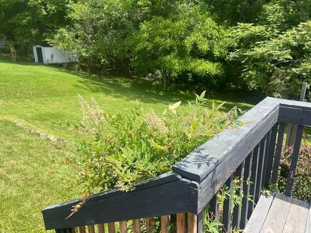 711 Windsor LN - Photo 13