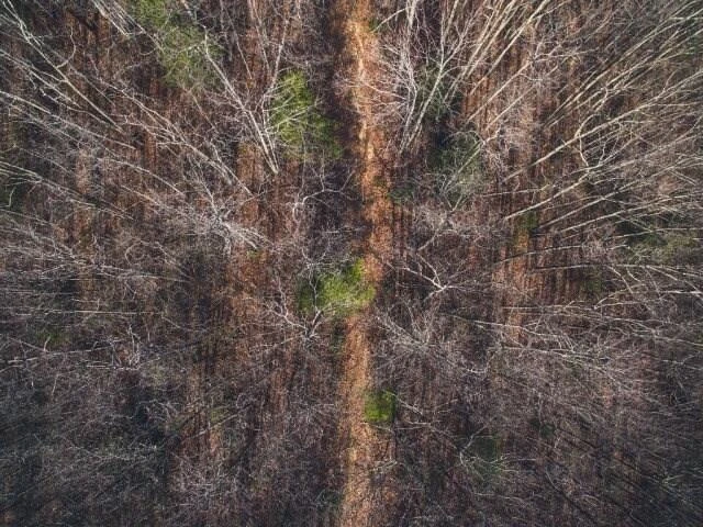0 Honeysuckle RD - Photo 2