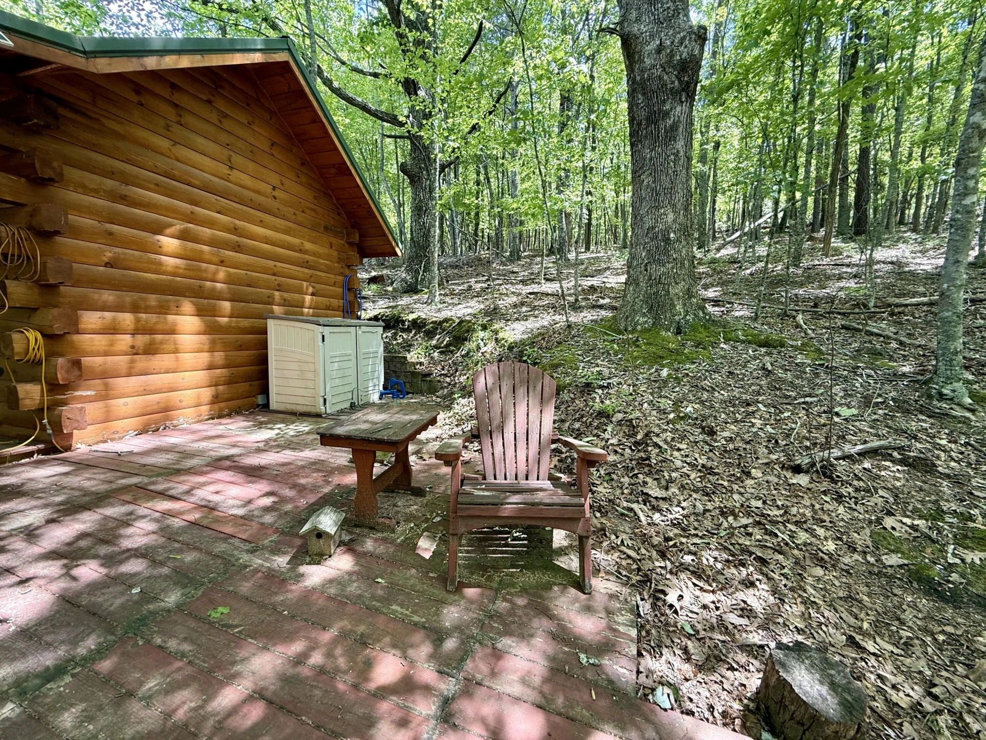 7750 Dicks Creek RD - Photo 15