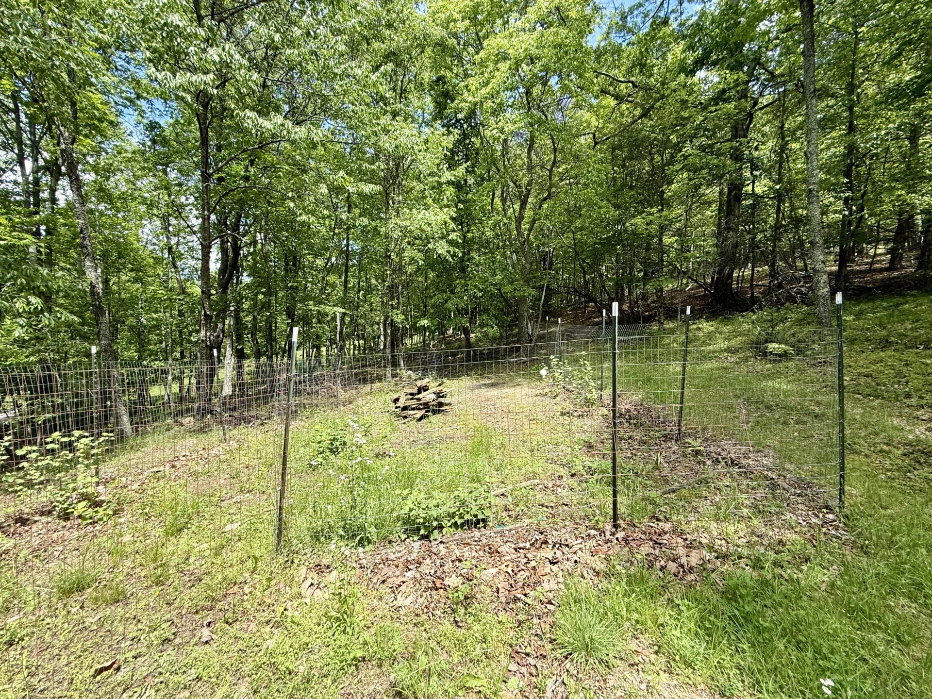 7750 Dicks Creek RD - Photo 25