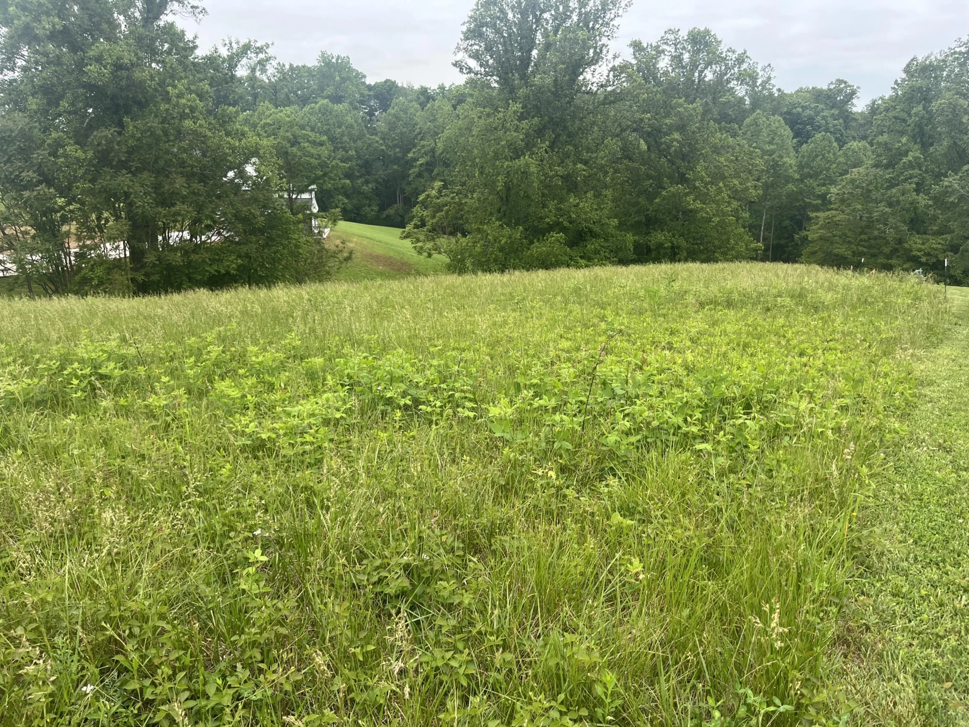 0 Cahas Summit RD - Photo 2