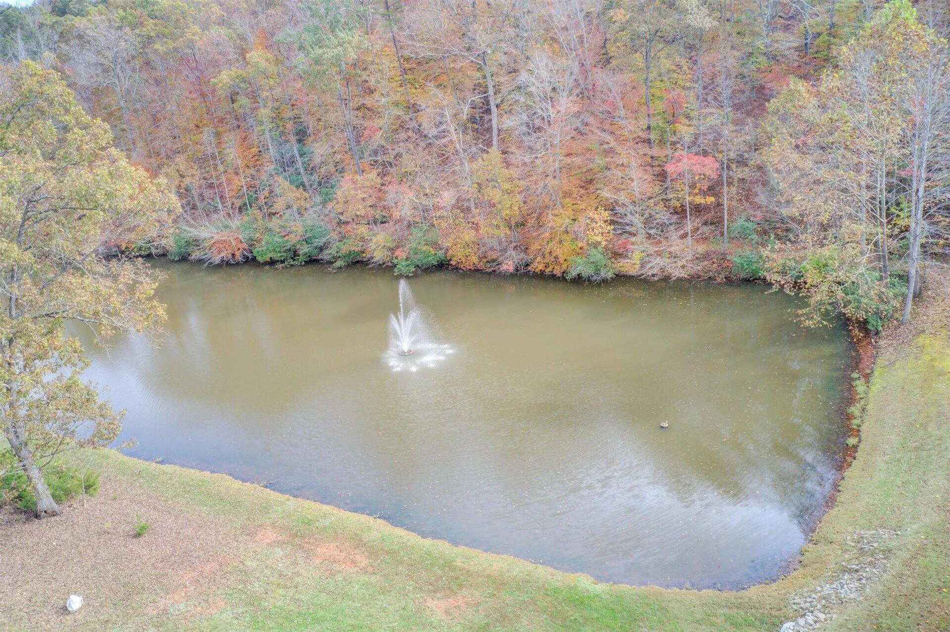 450 Holyfield LN - Photo 61