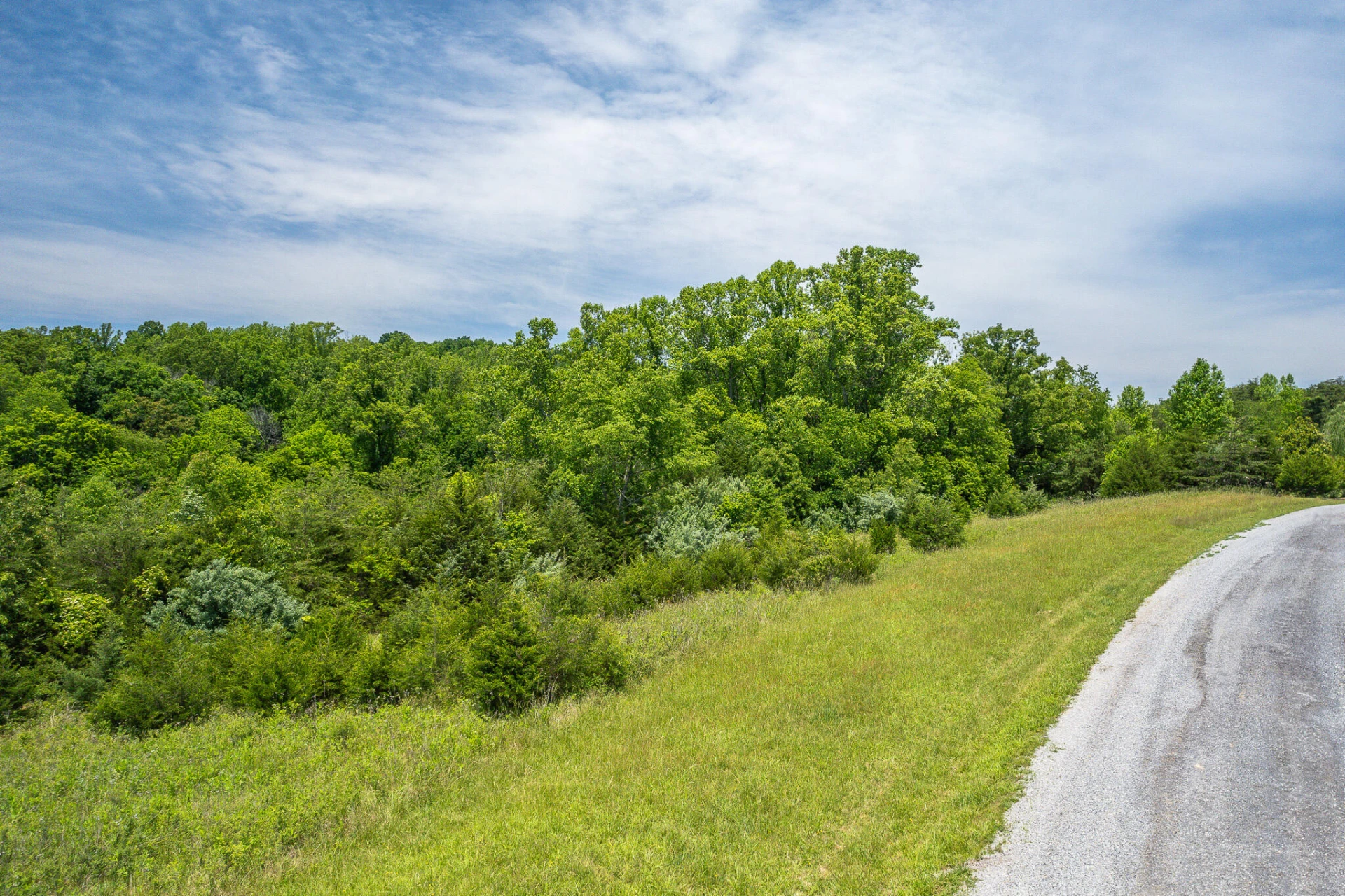 Lot 21 Meadow Grove DR - Photo 3