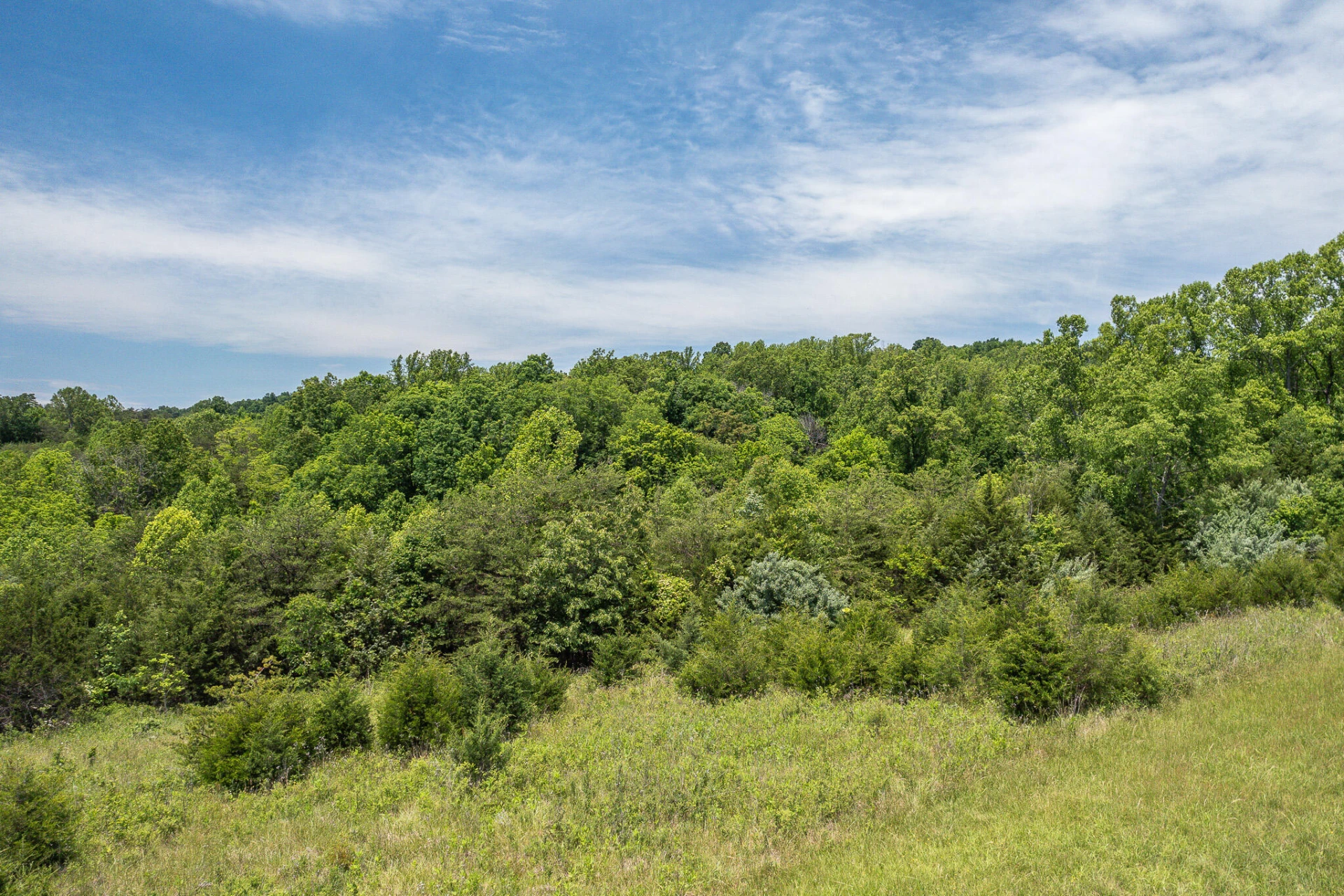 Lot 21 Meadow Grove DR - Photo 4