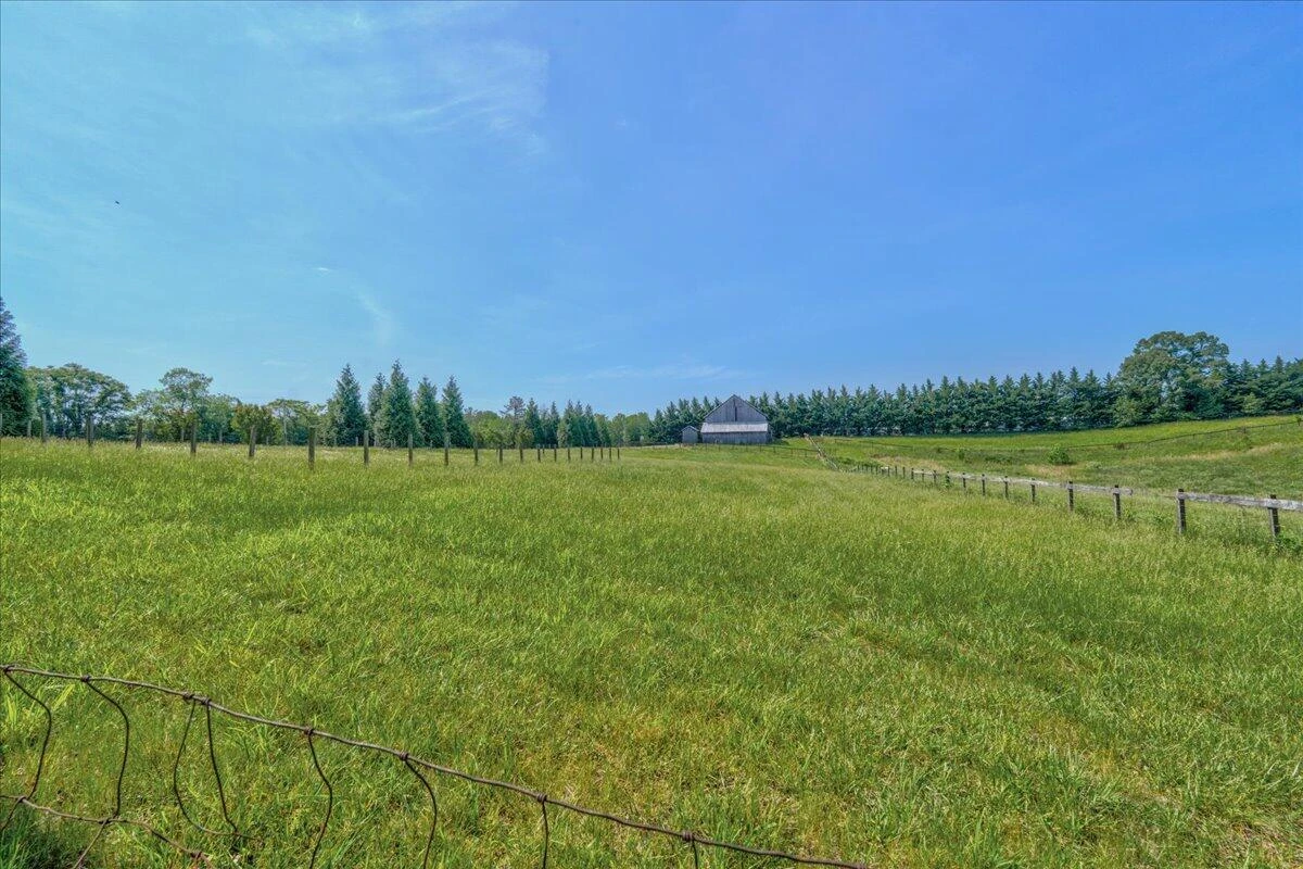 453 Wirtz RD - Photo 66