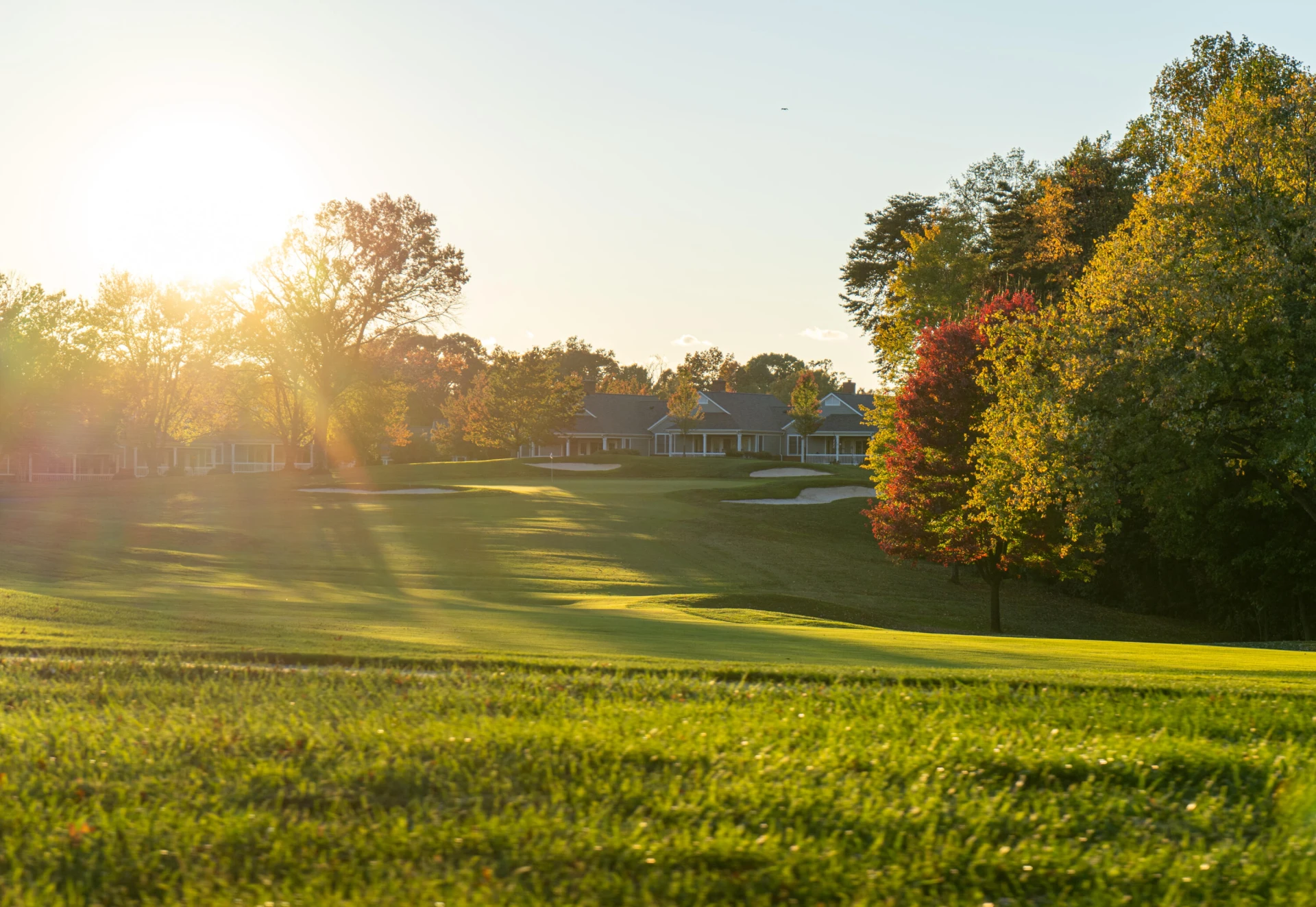 31 Flagstick CT - Photo 124