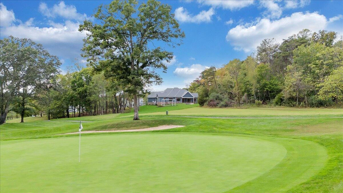 31 Flagstick CT - Photo 92