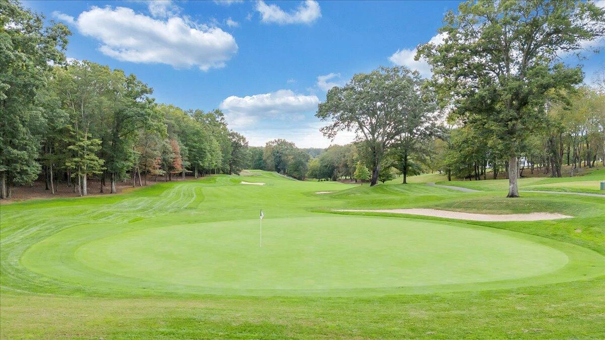 31 Flagstick CT - Photo 93