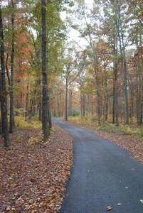Lot 3 Red Barn LN - Photo 8