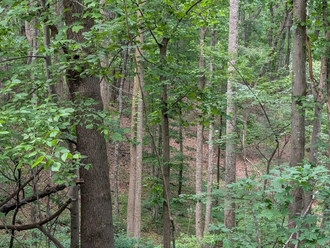 0 Bousman CIR - Photo 2