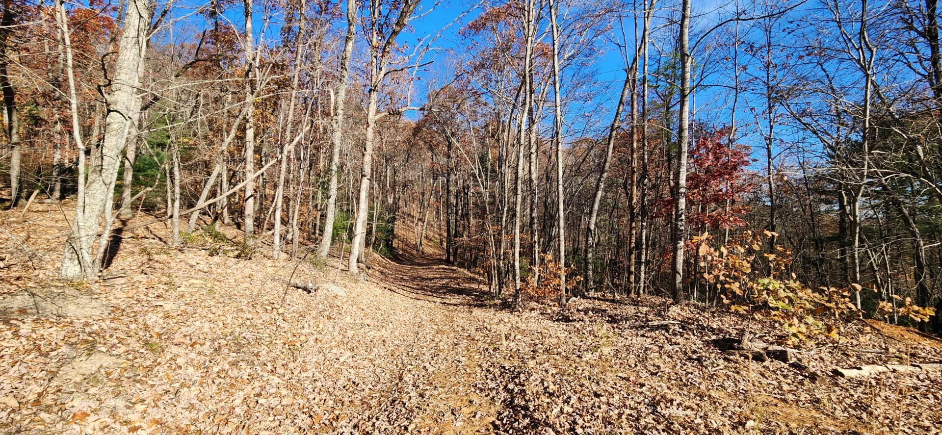 0 Briar Mountain RD
