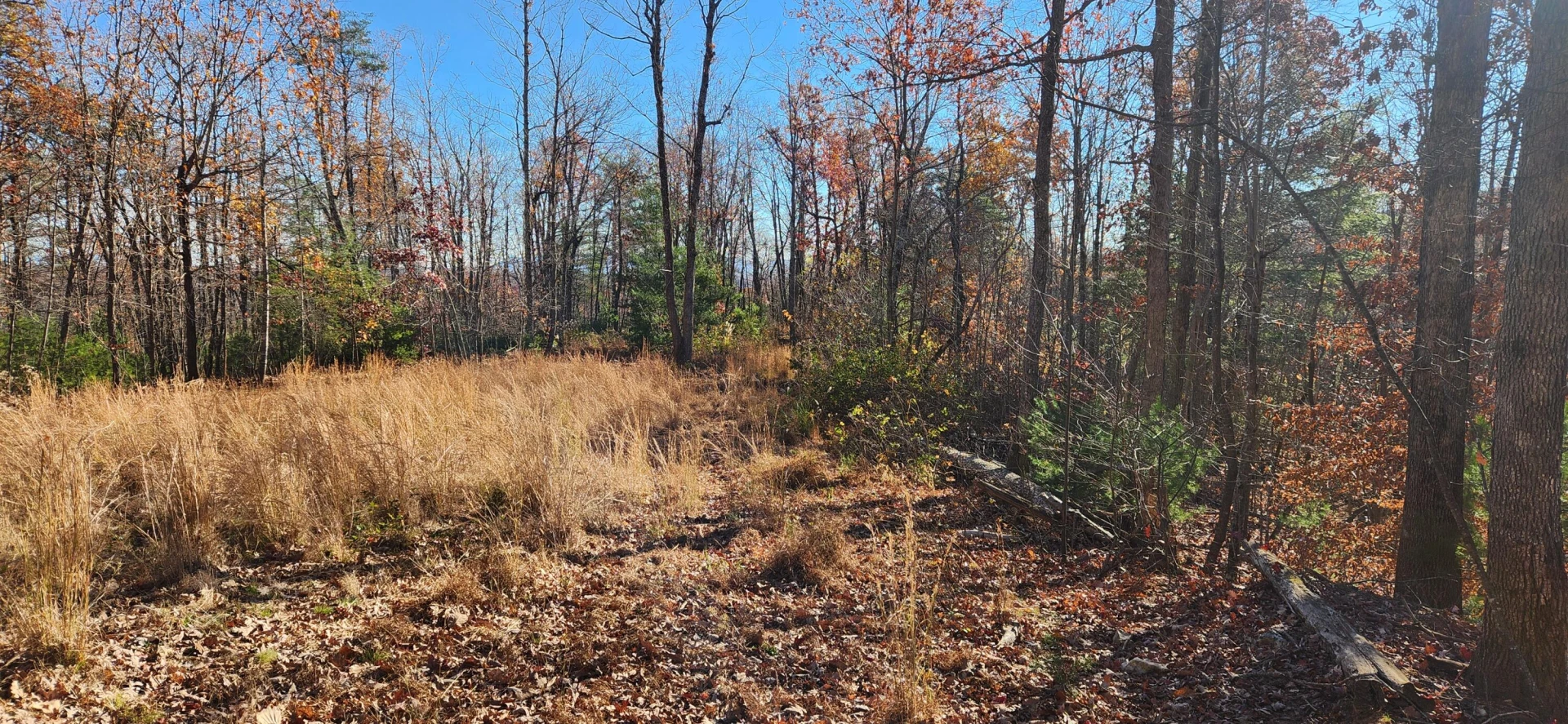 0 Briar Mountain RD - Photo 2