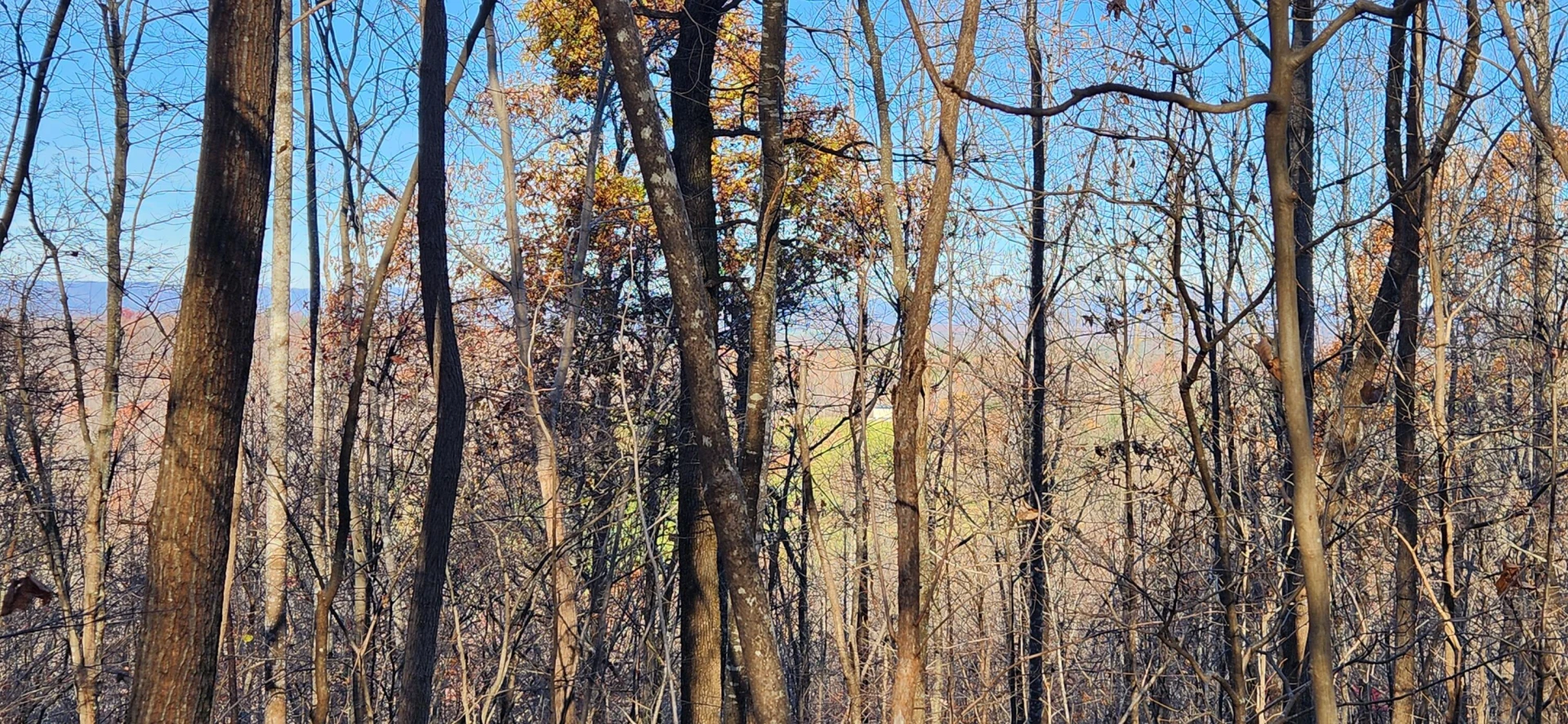 0 Briar Mountain RD - Photo 3