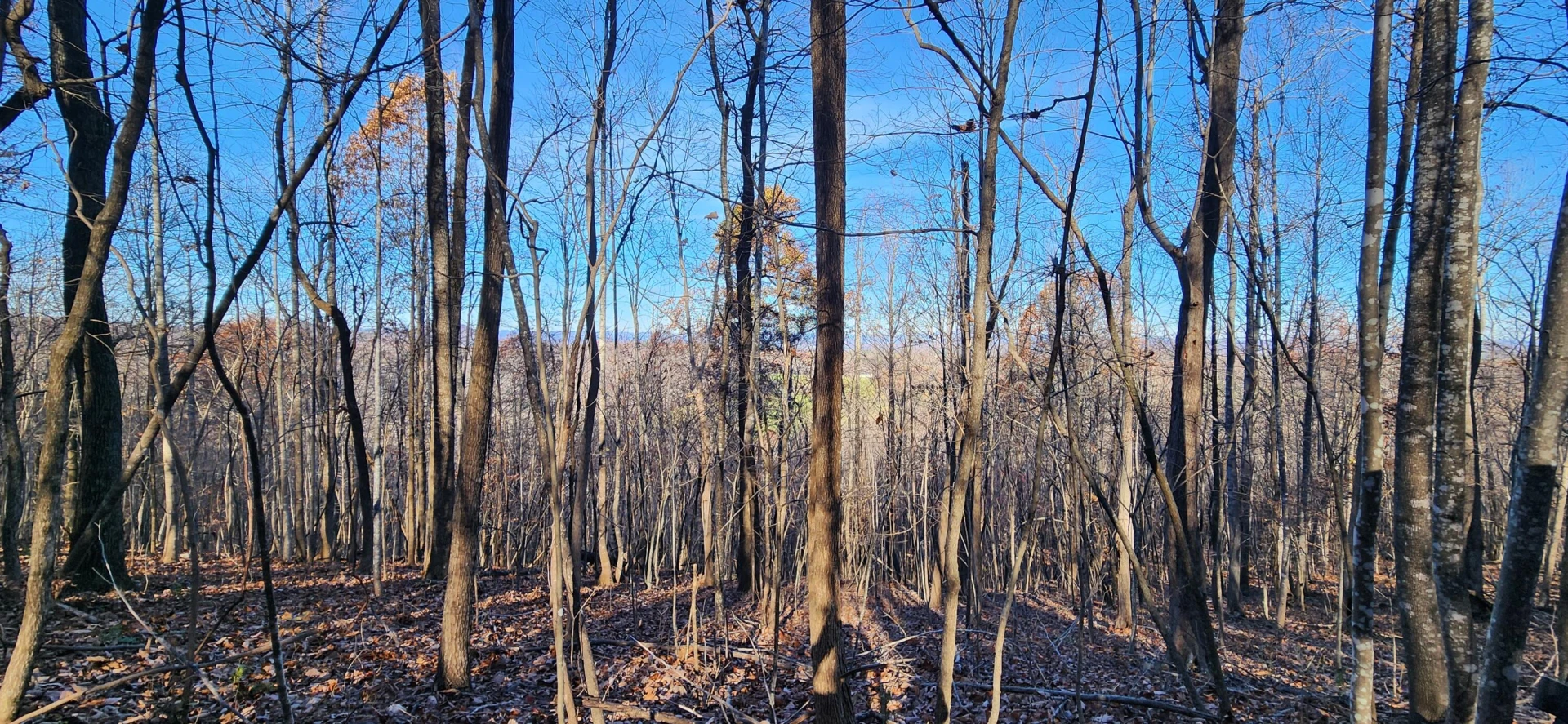 0 Briar Mountain RD - Photo 4