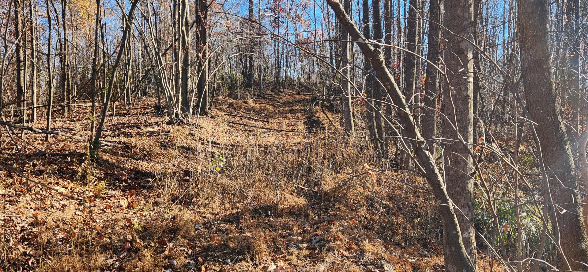 0 Briar Mountain RD - Photo 5