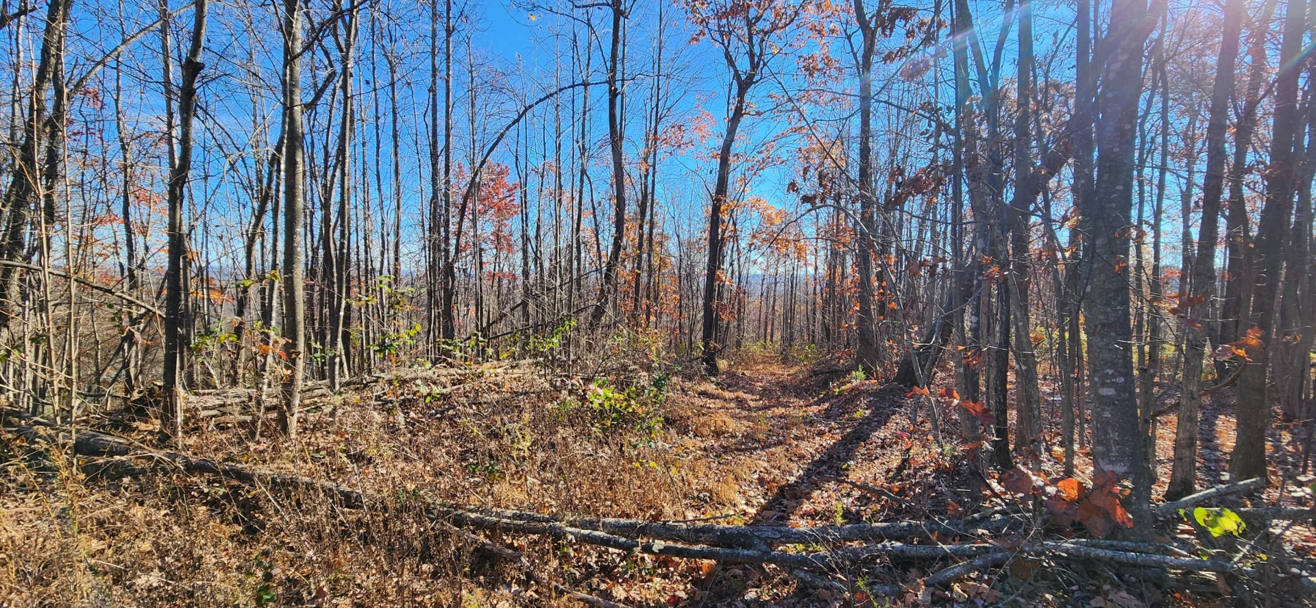 0 Briar Mountain RD - Photo 6