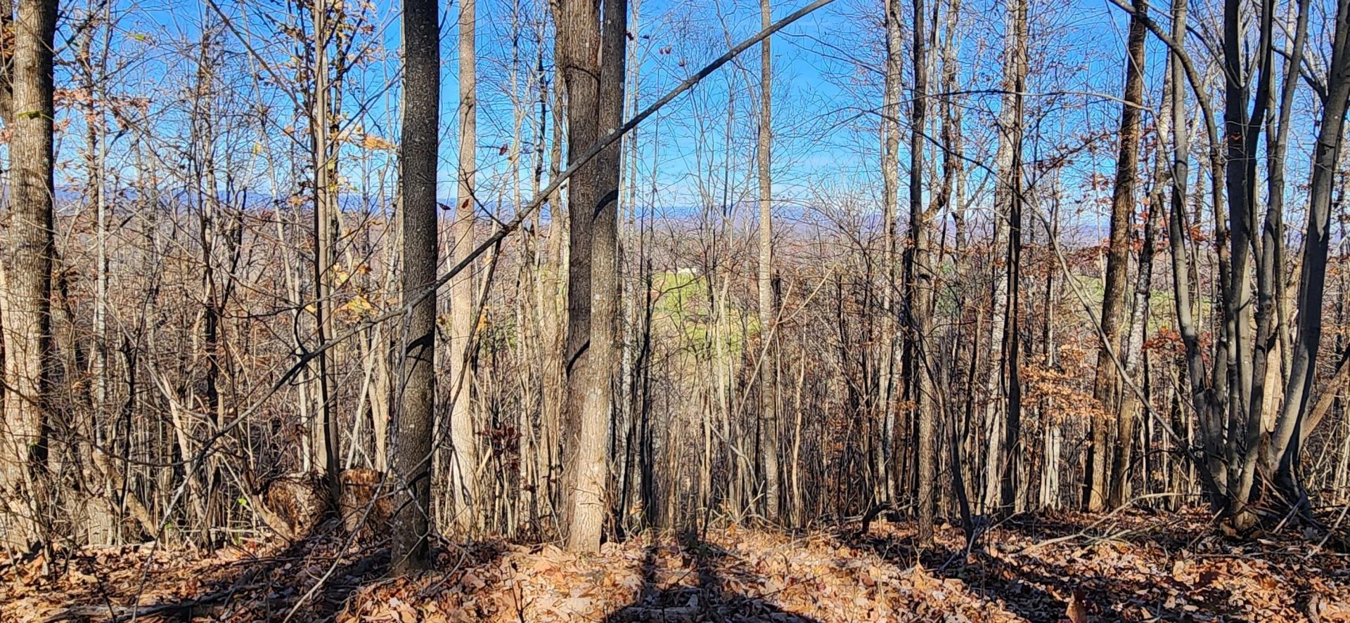 0 Briar Mountain RD - Photo 7